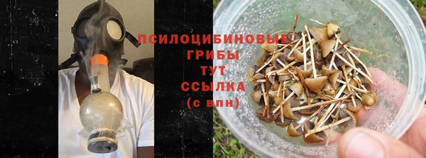 гидропоника Алексеевка